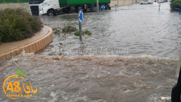 rainingdi yaffa (4).jpg